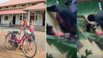 சைக்கிள் வேணுமா உனக்கு..? சைக்கிள் கேட்ட 9 வயது மகளை கொடூரமாக தாக்கிய தந்தை.. அதிர்ச்சி சம்பவம் !