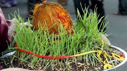  Jawara Visarjan 2022: नवरात्रि के पहले दिन बोए जाते हैं जवारे, 11 अप्रैल को शुभ मुहूर्त से करें विसर्जित 