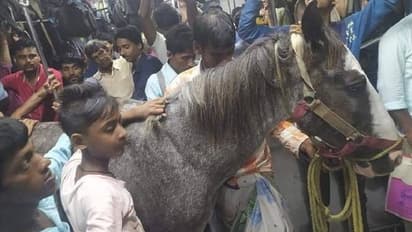 Horse in train : കുതിരയുമായി തിരക്കേറിയ ട്രെയിനില്‍ യാത്ര ചെയ്‍ത് ഉടമ, നടപടിയെടുത്ത് റെയില്‍വേ