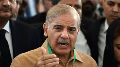 Explained: The road that Shehbaz Sharif needs to take
