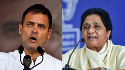 അധികാരമുള്ളപ്പോഴും ഇല്ലാത്തപ്പോഴും ഒന്നിനും പറ്റാത്ത പാർട്ടി: കോൺഗ്രസിനെതിരെ ആഞ്ഞടിച്ച് മായാവതി