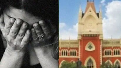 হাঁসখালি নাবালিকার গণধর্ষণকাণ্ডে জনস্বার্থ মামলা দায়ের হাইকোর্টে, শুনানির অপেক্ষায় সারা বাংলা