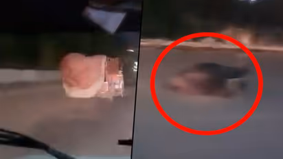 "Smuggled Cattle" thrown from truck in Gurugram; Police chase caught on cam