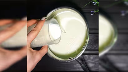 जामन के लिए खत्म हो गया दही, तो इस तरह मसालदान में पड़ी छोटी सी चीज से जमाए एकदम गाढ़ा दही