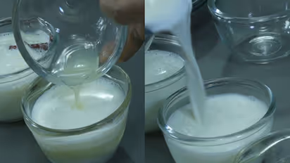 தயிர் vs மோர்: எது பெஸ்ட்? எது அதிக நன்மை தரக்கூடியது?