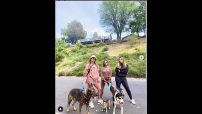 ತನ್ನ ಗರ್ಲ್‌  ಗ್ಯಾಂಗ್‌ ಮತ್ತು ಮುದ್ದಿನ ನಾಯಿಗಳ ಜತೆ Priyanka Chopra  ಔಟಿಂಗ್‌