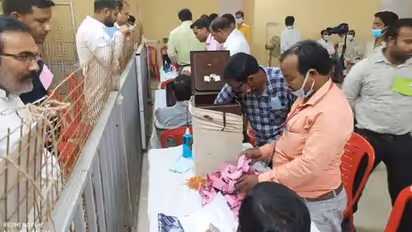 Jharkhand Panchayat Chunav Results 2022: The winners' list