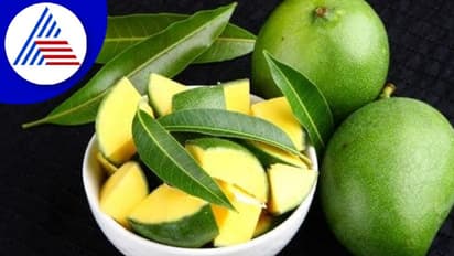 ಮಾವಿನ ಹಣ್ಣು ಮಾತ್ರವಲ್ಲ, ಆರೋಗ್ಯ ವೃದ್ಧಿಗಾಗಿ ಮಾವಿನ ಕಾಯಿಯನ್ನೂ ತಿನ್ನಿ