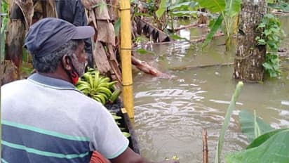 കർഷകർക്കുള്ള നഷ്ടപരിഹാരം; വ്യാപക ക്രമക്കേട്; ചട്ടങ്ങൾ പാലിക്കുന്നില്ല; അടിയന്തര ധനസഹായവും മുടങ്ങി