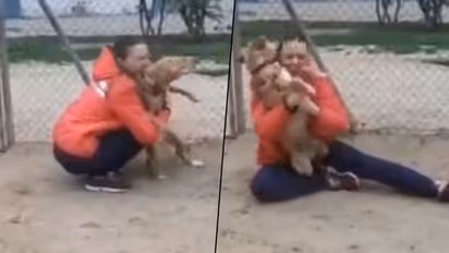 Missing dog reunites with owner after five years; watch the emotional reunion