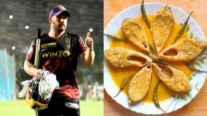 বাঙালির নববর্ষে চান ইলিশের রসনা তৃপ্তি , জানিয়ে দিলেন কেকেআরের অজি তারকা