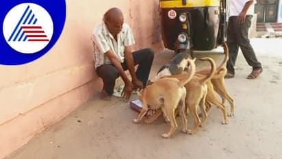 Kolar: ಪ್ರಾಣಿಗಳೇ ಗುಣದಲ್ಲಿ ಮೇಲು ಎಂದು ಬೀದಿ ಪ್ರಾಣಿಗಳಿಗೆ ಆಸರೆಯಾದ ವ್ಯಕ್ತಿ!