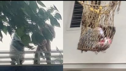 ആറ് മാസം പ്രായമായ സ്വന്തം കുഞ്ഞിന്റെ കഴുത്തിൽ കത്തി വച്ച് കൊല്ലുമെന്ന് യുവാവിന്റെ ഭീഷണി