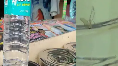 அதிர்ச்சி.. பிஸ்லரி குடிநீர் பாட்டிலில் இறந்து கிடந்த கொசு..! 