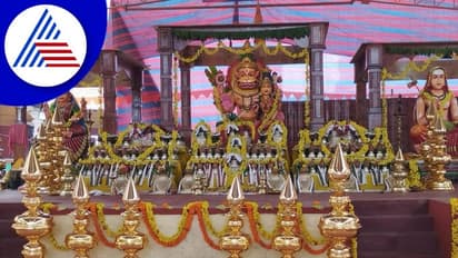 Chikkamagaluru: ಐತಿಹಾಸಿಕ ಮಹಾಕುಂಭಾಭಿಷೇಕಕ್ಕೆ ಹರಿಹರಪುರ ಸಾಕ್ಷಿ