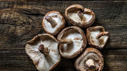 Mushroom: சிறிதளவு காளானில் இவ்வளவு சத்துக்களா!