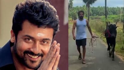 Suriya : ஜல்லிக்கட்டு காளையுடன் வலம் வந்து தமிழ் புத்தாண்டு வாழ்த்து சொன்ன சூர்யா - வைரலாகும் மாஸ் வீடியோ