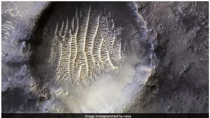 ‘అంగారకుడిపై గ్రహాంతరవాసి అడుగు’.. నాసా విడుదల చేసిన మార్స్ ఇమేజ్.. నెటిజన్లు ఏమంటున్నారంటే?