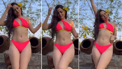 उर्फी जावेद की हॉट तस्वीर देख भड़क उठा एक यूजर, कहा- सरकार अगर एक खून माफ करे तो सबसे पहले इसका करूंगा