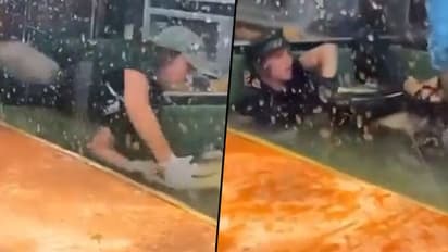 Alligator bites woman’s hand during feeding; here’s what happened next