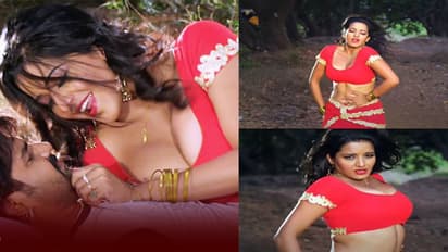 मोनालिसा और पवन सिंह ने हॉट मूव्स से इंटरनेट पर लगाई आग, भोजपुरी गाना 'फाटा जाई चोली हो' हुआ फायर