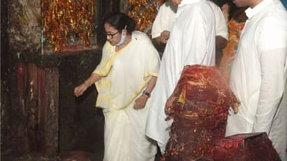 'শুভবুদ্ধির উদয় হোক', নববর্ষের আগের দিন কালীঘাট মন্দিরে পুজো দিয়ে বললেন মমতা