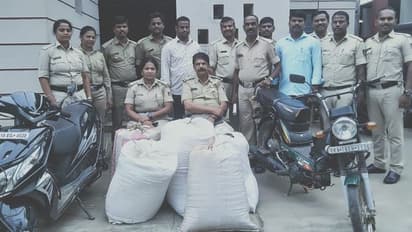 ಕಾಳುಮೆಣಸಿಗೆ ಫುಲ್ ಡಿಮ್ಯಾಂಡ್ , ಕಳ್ಳರ ಕಾಟ ವಿಪರೀತ!