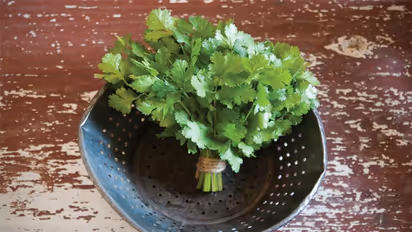 अब चुटकियों में साफ करें हरी धनिया, 147 मिलियन से ज्यादा लोगों को पसंद आया यह आसान तरीका