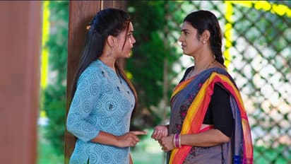 Intinti Gruhalakshmi: దివ్యకు తల్లిదండ్రులతో కొత్త సమస్య.. తులసి నుంచి దూరం చేసేందుకు గాయత్రి కన్నింగ్ ప్లాన్!