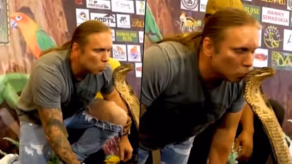 Watch: Man kisses deadly King Cobra on its head; find out what happens next