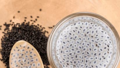 సబ్జా నీరు తాగితే జుట్టు పెరుగుతుందా..?