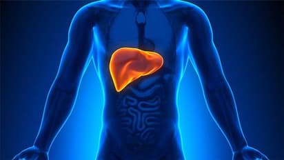 World liver day 2022: Know date, significance of the day; here are tips to keep liver healthy 