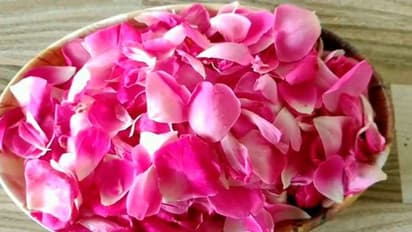 గులాబీ రేకులతో అద్భుతమైన ఆరోగ్య ప్రయోజనాలు మీ సొంతం..!