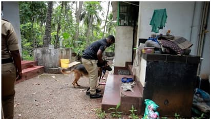 മകളുടെ വിവാഹത്തിനായി സൂക്ഷിച്ച 35 പവൻ സ്വർണവും അര ലക്ഷവും മോഷണം പോയി