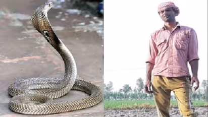 7 बार नागिन के जहर को मात दे चुके हैं बबलू, नाग को मारने के बाद चल रही इस जंग में कुदरत दे रही साथ