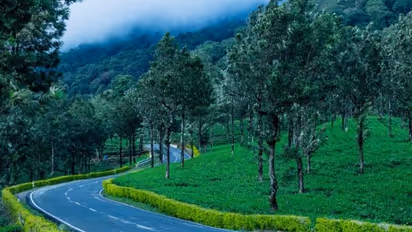 ये हैं दक्षिण भारत के पांच शानदार माउंटेन डेस्टिनेशन, जहां आप गर्मियों की छुट्टियां बिता सकते हैं