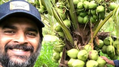 ಕೃಷಿಯೆಂದರೆ ಕೇವಲ ಉದ್ಯೋಗವಲ್ಲ, ಜೀವನ ಮಾರ್ಗ ಎಂದು ತೋರಿಸಿಕೊಟ್ಟ 11 ಸ್ಟಾರ್‌ ನಟರು!