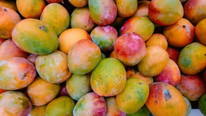 How to buy a perfect mango? Here are some do's & don'ts while purchasing juicy mangos