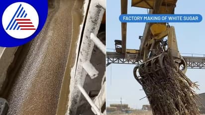 ಸಕ್ಕರೆ ತಯಾರಿಸುವುದು ಹೇಗೆ: ವಿಡಿಯೋ ನೋಡಿ