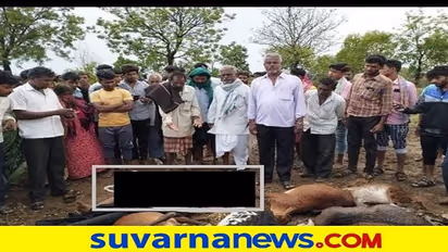 ಸಿಡಿಲಾರ್ಭಟಕ್ಕೆ ವಿಜಯಪುರದಲ್ಲಿ ಸಹೋದರರು ಬಲಿ, ಸಿಡಿಲಿನ ಮುನ್ನೆಚ್ಚರಿಕೆ ಕ್ರಮದ ಬಗ್ಗೆ ತಿಳಿಯಿರಿ