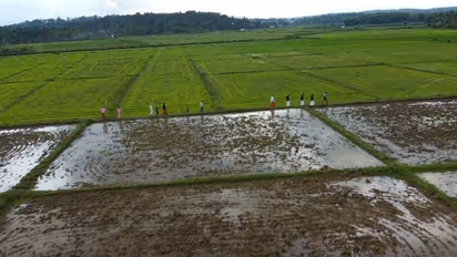 Mandya: ಗದ್ದೆ ಬಯಲು, ಹಳ್ಳ ಕೊಳ್ಳಗಳೇ ವಿದ್ಯಾರ್ಥಿಗಳ ದಾರಿ..!