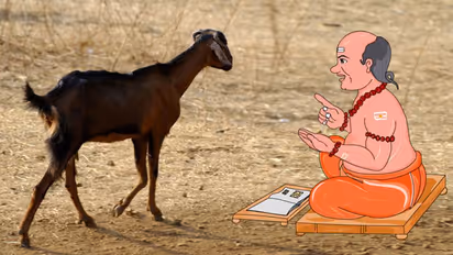 पंडितजी की बकरी को देख ठग ने कहा ये कुत्ता है, दूसरे ने मरा हुआ बछड़ा बताया, जानें पंडितजी ने क्या किया?