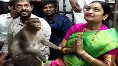 మంత్రి ఉషశ్రీ ఒళ్లో కూర్చున్న వానరం... ఆంజనేయస్వామి ఆలయంలో వింత సంఘటన