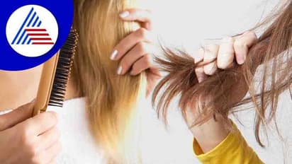 Hair Care: డెలివరీ తర్వాత జట్టు రాలిపోతోందా..? ఇదిగో పరిష్కారం..!