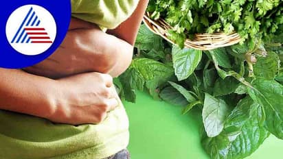 Health Tips : ಹೊಟ್ಟೆಯಲ್ಲಿ ಸದಾ ಕಾಡುವ ಗ್ಯಾಸ್ ಗೆ ಹೇಳಿ ಗುಡ್ ಬೈ