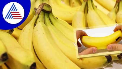 Eating banana: குடலை சுத்தம் செய்ய இரவில் இந்த ஒரு உணவை கட்டாயம் சாப்பிடுங்கள்..மீறினால் பாதிப்பு உறுதி..