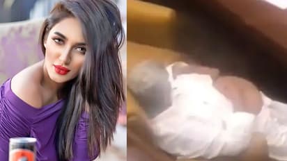 पाकिस्तानी मंत्री के खुजलीवाले वीडियो पर इस एक्ट्रेस ने लिए मजे, कही ऐसी बात कि नहीं रोक पाएंगे हंसी