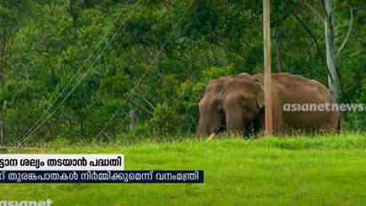 കാട്ടാന ശല്യം; ദേശീയ പാതക്ക് കുറുകെ തുരങ്കപ്പാതകൾ നിർമിക്കാൻ വനംവകുപ്പ്