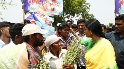 వరి పండించని రైతులకు కేసీఆరే పరిహారం చెల్లించాలి: వైఎస్ షర్మిల డిమాండ్