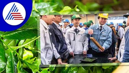 1 ಕೆಜಿ ಚಹಾ ಎಲೆ 11 ಲಕ್ಷ ರೂಪಾಯಿಗೆ ಮಾರಾಟವಾಯ್ತು..! ಯಾಕಿಷ್ಟು ಕಾಸ್ಟ್ಲೀ ?